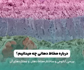 عکس مخاط دهان