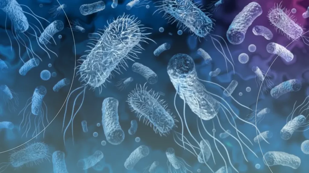 عکس شماتیک انواع باکتری ها